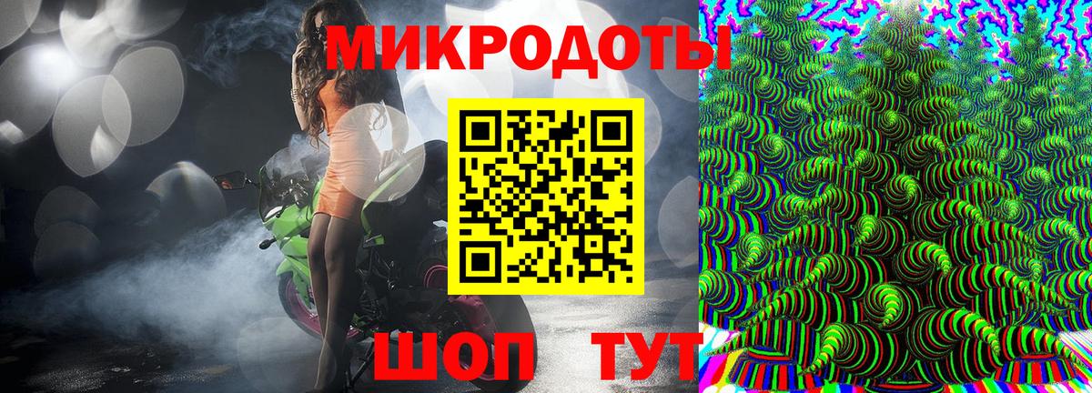 Галлюциногенные грибы Psilocybe Обнинск