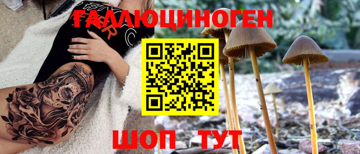 Псилоцибиновые грибы GOLDEN TEACHER  Вход с VPN  Обнинск 